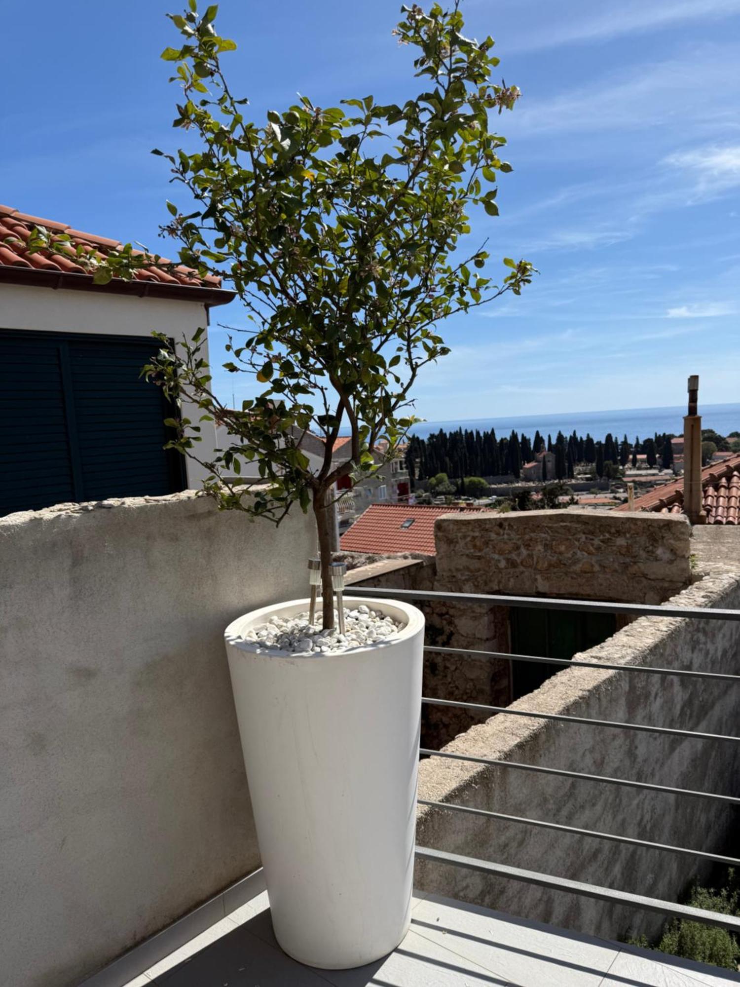 Lemon Tree Dubrovnik Apartments Exterior photo